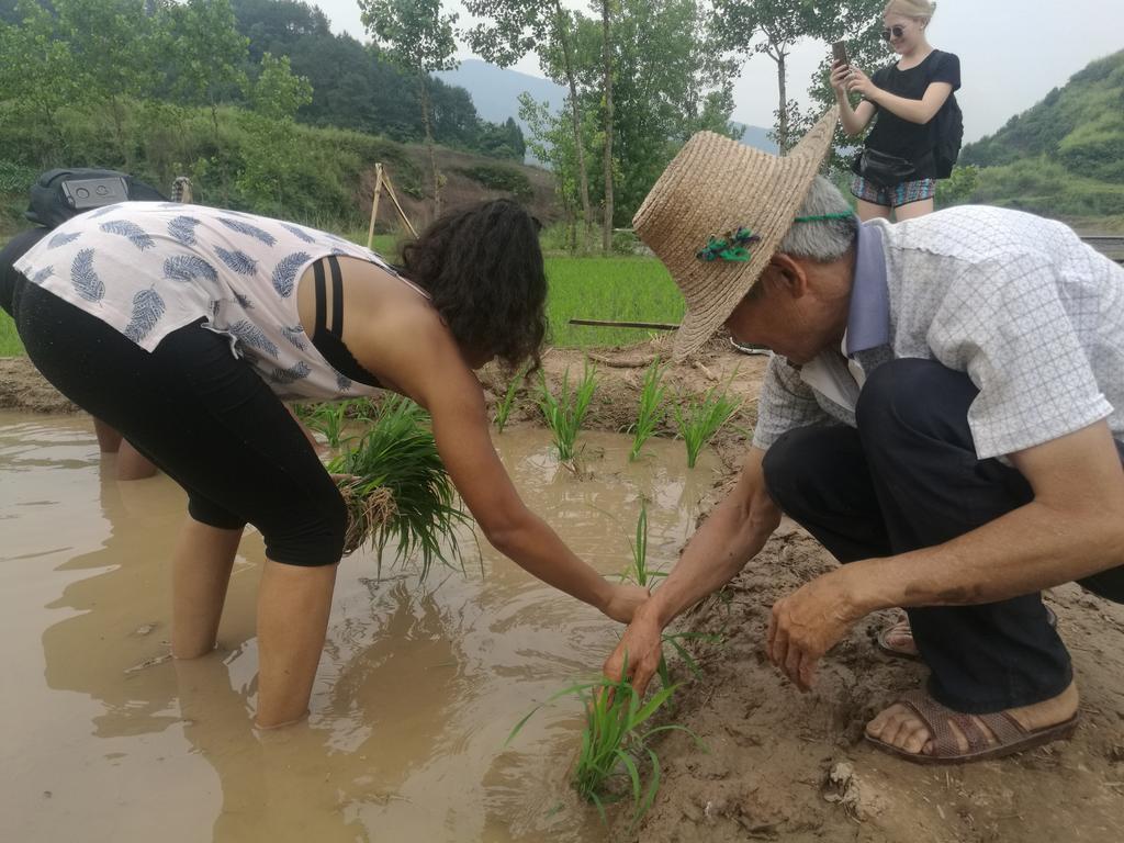 Zhangjiajie Jijiehao Inn Exteriér fotografie